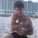 dontmindmeppl avatar