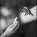 dontpretendyoudontlikethis-blog avatar