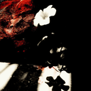 dontpunchbuggy-blog avatar