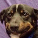 dontquestionmeplsthx avatar