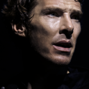 dontshaveforsherlock avatar