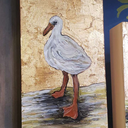 dontstepontheworm avatar