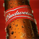 donttouchmybudweiser avatar