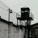 dontwalkwiththedead avatar