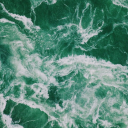 dontworry-bereckless avatar