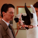 dontyoudarestealmyfrog avatar