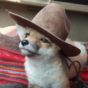 donutholepunch avatar