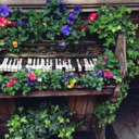 donutkillmyvibe5 avatar