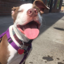 doobiedeity-blog avatar