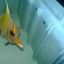 doobiedoobiedoo346 avatar