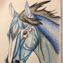 doodlehorseafternoon avatar