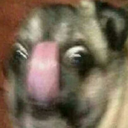 doodler-doot-doot avatar