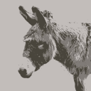 doomdonkey avatar