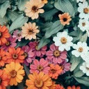 doomeccentric avatar