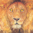 doortothelibrary-blog avatar