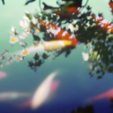 doorway-deities avatar