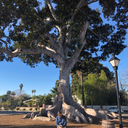 doosanbears77 avatar