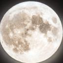 dopamineadict24 avatar