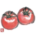 dopaminec8h11no2 avatar