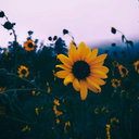 dope-and-faith avatar