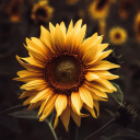 dopepizzapickletrash avatar