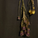 doposlednihodechu avatar