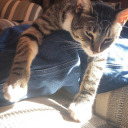 doppio-movimento avatar