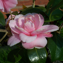 doquoteme-blog avatar