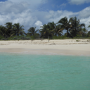 doreensnewworld avatar