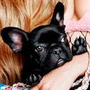 dorianslayvus avatar