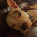 dorkaly-a-blog avatar