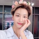 dorks-never-fail avatar