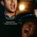 doro7winchester avatar