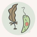 dorophyte avatar