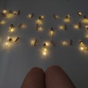 dos-estrellas-fugaces avatar