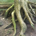 dotlookstired avatar