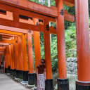 dottyasyouplease avatar