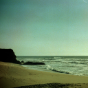 double-down-dork avatar