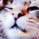 doublecatx2-blog avatar