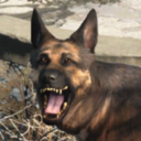 doubled-by-twice-the-amount avatar