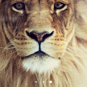 doublephoeenix avatar