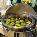 doublerainbowjay avatar