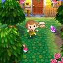 doubutsuno-mochi avatar