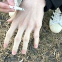 dovedollsversion avatar