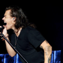 doves-can-fly avatar