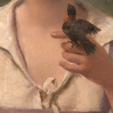 down-to-jupiter avatar