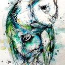 downfromneverland-blog avatar