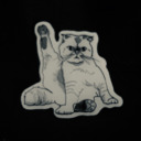 downn-in-flames avatar