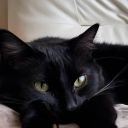 downstairsbar avatar