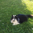 downstares-blog avatar